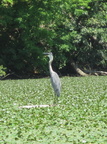 IMG 7505